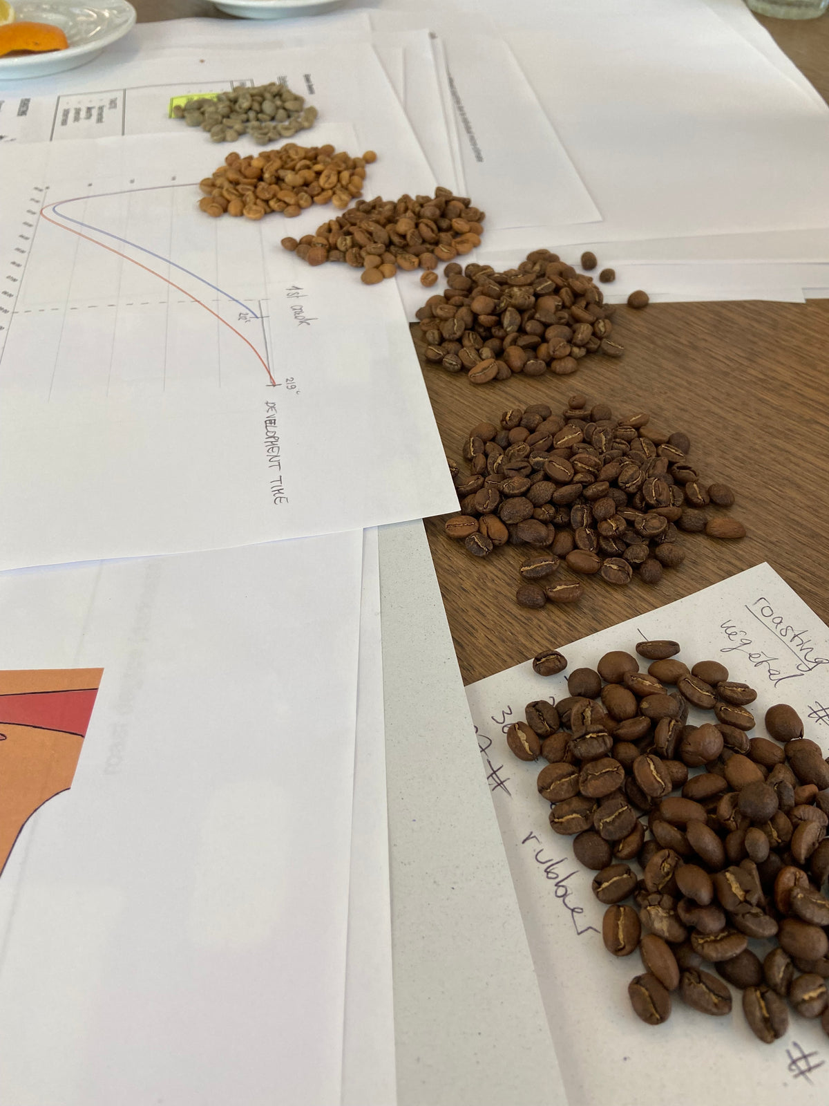 From seed to cup: a multisensory journey